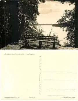 16775 Neuglobsow vom Fenchelberg zum Stechlin See *1961 Hanich0621