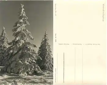 Winterwald im Erzgebirge *1956 Hanich1039
