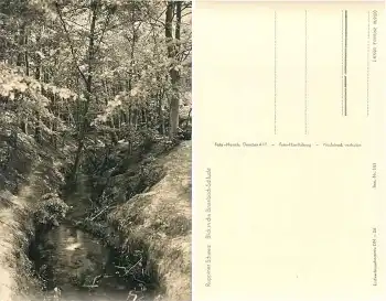 16818 Binenbach-Schlucht *1960 Hanich0181