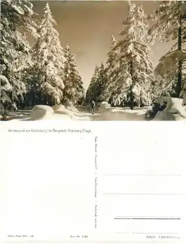 Winterwald Kahleberg bei Altenberg *1958 Hanich1060