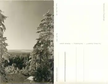 Winterwald im Erzgebirge *1956 Hanich1036