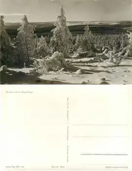 Winterwald im Erzgebirge *1956 Hanich1034
