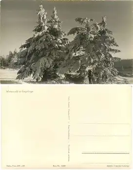 Winterwald im Erzgebirge *1956 Hanich1040
