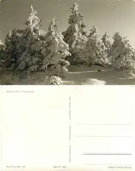 Winterwald im Erzgebirge *1956 Hanich1041