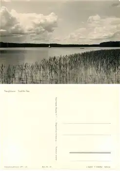 16775 Neuglobsow Stechlin-See *ca. 1964 Hanich0030