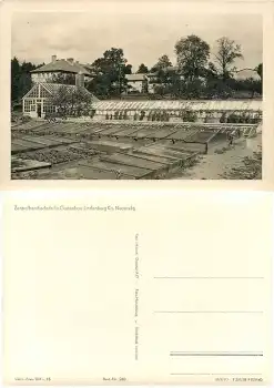 17235 Lindenberg Zentralberufsschule für Gartenbau Gewächshaus *1962 Hanich0240
