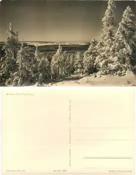 Winterwald im Erzgebirge *1956 Hanich1035