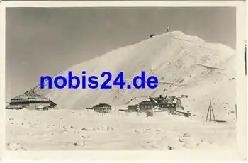 Krkonose Snezka o 6.3.1955