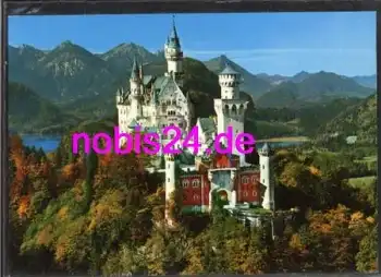 87645 Neuschwanstein Burgansicht *ca.1980