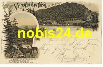 37431 Wiesenbeeker Teich Litho Hirsche o 14.6.1897