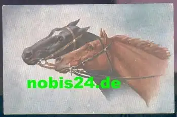 Pferdeköpfe Künstlerkarte *ca. 1920