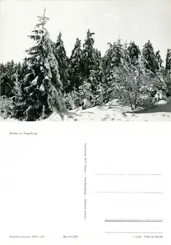 Winterwald im Erzgebirge *1966 Hanich2011