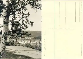 01762 Schmiedeberg Brandweg Dippoldiswalde *1964 Hanich1794