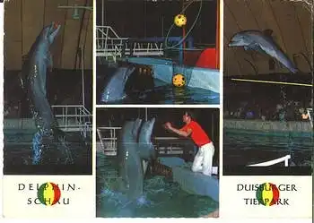 Duisburger Tierpark Delphin-Schau Zoo o 1.10.1973