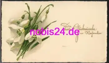Schneeglöckchen Konfirmation o 1925