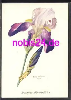 Deutsche Schwertlilie Künstlerkarte * ca.1965