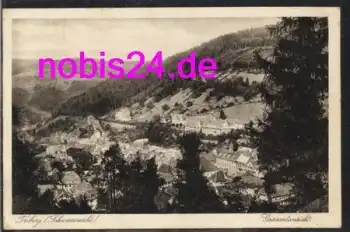 78098 Triberg vom Berg o 23.7.1933