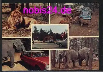 52538 Tüddern Geilenkirchen Auto Safari *ca.1975