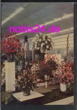 Erfurt IGA Stand Holland Blumen  *ca.1966