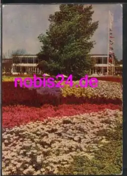 Erfurt IGA - große Blumenwiese o 20.6.1966