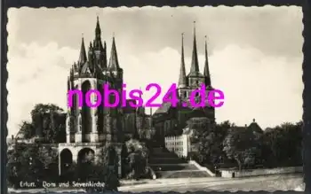 Erfurt Dom und Severikirche  *ca.1956