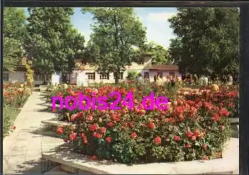 Erfurt  IGA Teil im Rosengarten o 7.1.1977