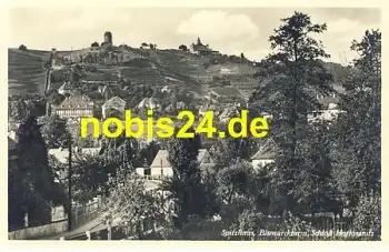 01445 Lössnitz Radebeul Spitzhaus Bismarckturm *ca.1930