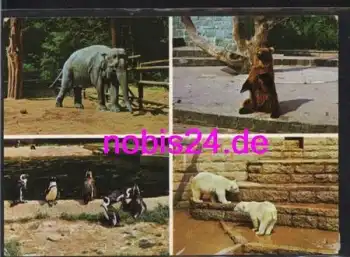 Rostock Tierpark Zoo o 10.8.1977