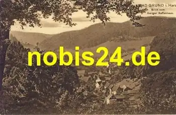 37539 Bad Grund Harz Blick ins Tal o 18.8.1925