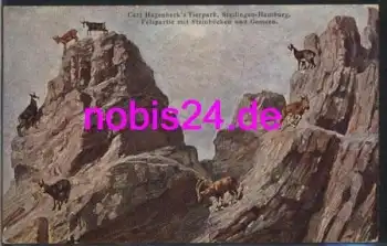 Hamburg Stellingen Hagenbeck Zoo o 1913