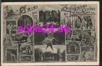 Frankfurt Main Zoologischer Garten o 7.10.1906