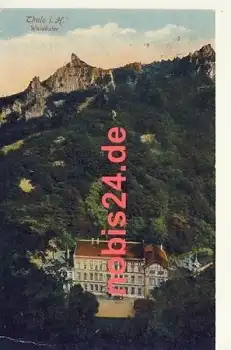 06502 Thale Harz Waldkater o 30.8.1930