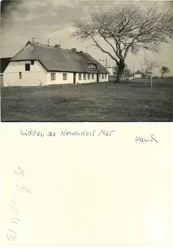 18565 Hiddensee Neuendorf Druckvorlage 1964 Hanich Foto