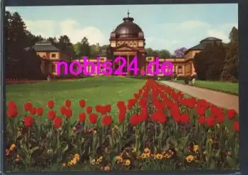 61300 Bad Homburg Tulpenparkanlage *ca.1970