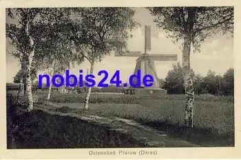 18375 Prerow Darss Windmühle *ca.1930