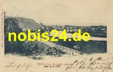 37671 Höxter vom Felsenkeller o 8.3.1901