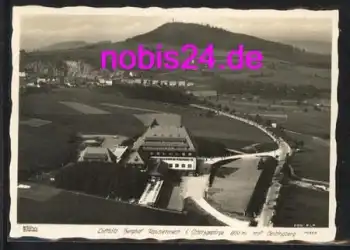 01778 Geisingberg Raupennest *ca.1940 Verlag Hahn-Foto10377