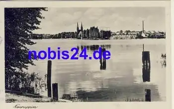16816 Neuruppin vom See  *ca.1955