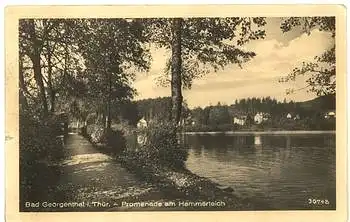 99887 Bad Georgenthal Promenade o ca. 1950