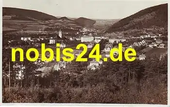 Mesto Tisnov s Klucaniny  *ca.1940