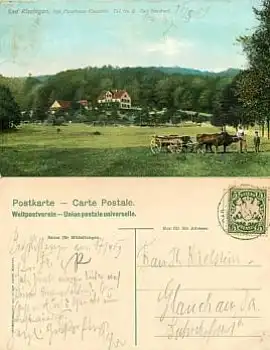 97688 Bad Kissingen Forsthaus Ochsengespann o 16.5.1909