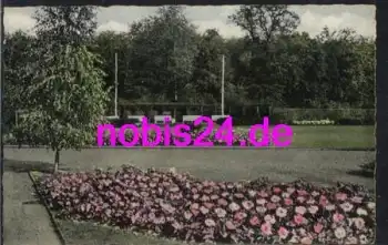 25421 Pinneberg Rosengarten o ca.1965