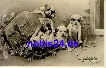 Junge Hunde Künstlerkarte V. K. Vienne Nr. 5060 o 1.1.1910