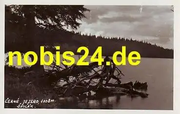 Cerne Jezero Spicak *ca.1950