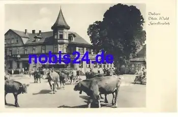 99891 Tabarz Spindlerplatz Kuh Abtrieb *ca.1935