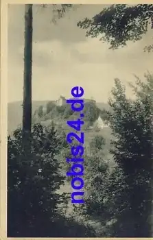 Usti n. Orl Burgansicht *ca.1950