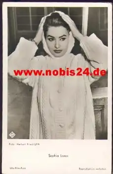 Loren Sophia  Ufa 3408