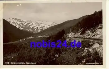 Raundalen Bergensbanen NORWEGEN o 1920