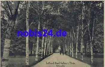 99518 Bad Sulza Birkenallee *ca.1955