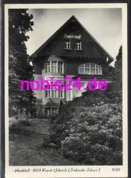 01824 Gohrisch Gasthof Haidehof o ca.1960